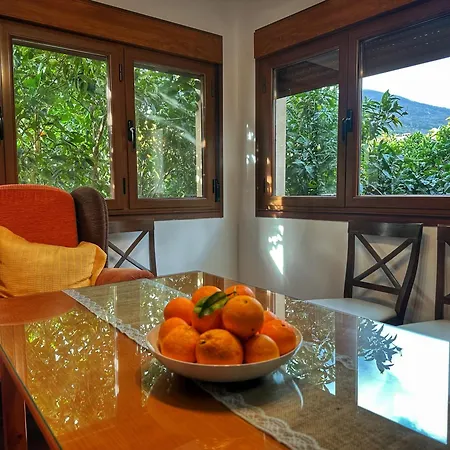 Naranjos De Apartament Jerte