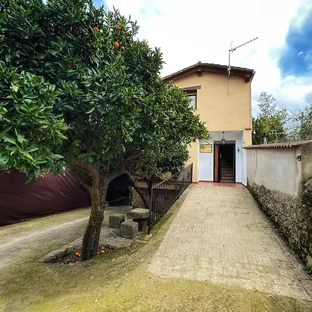 Naranjos De Apartamento *