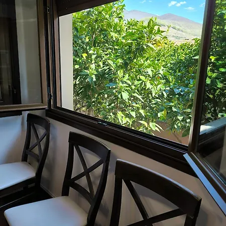 Naranjos De Apartamento *