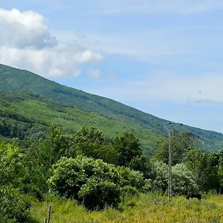 Naranjos De