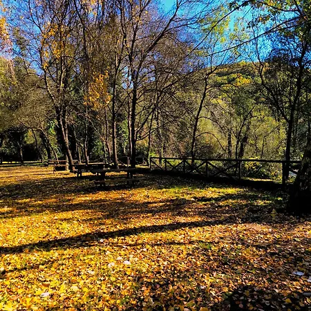 Naranjos De Apartamento *