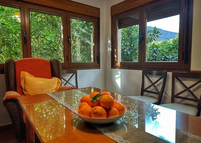 Naranjos De Apartamento Jerte