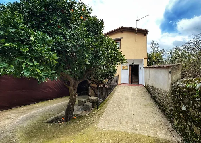 Naranjos De Apartamento *