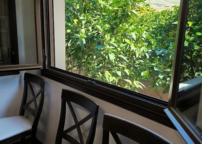 Naranjos De Apartamento *