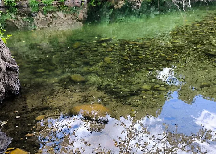 Apartamento Naranjos De