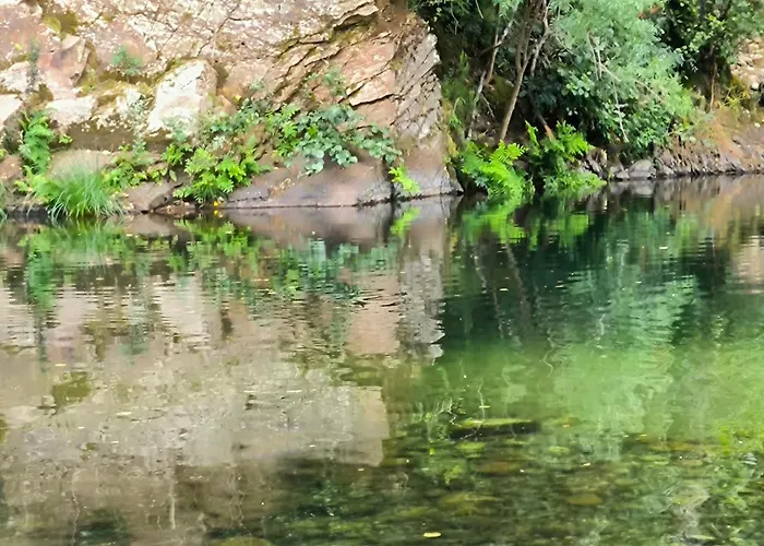 Apartamento Naranjos De