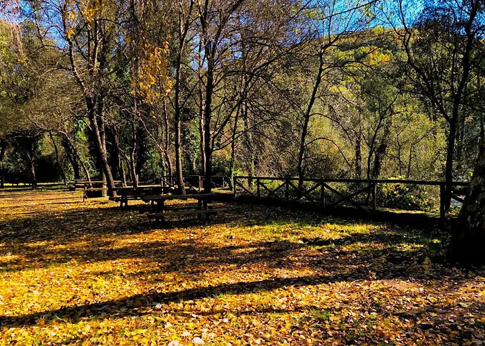 Naranjos De Apartamento *